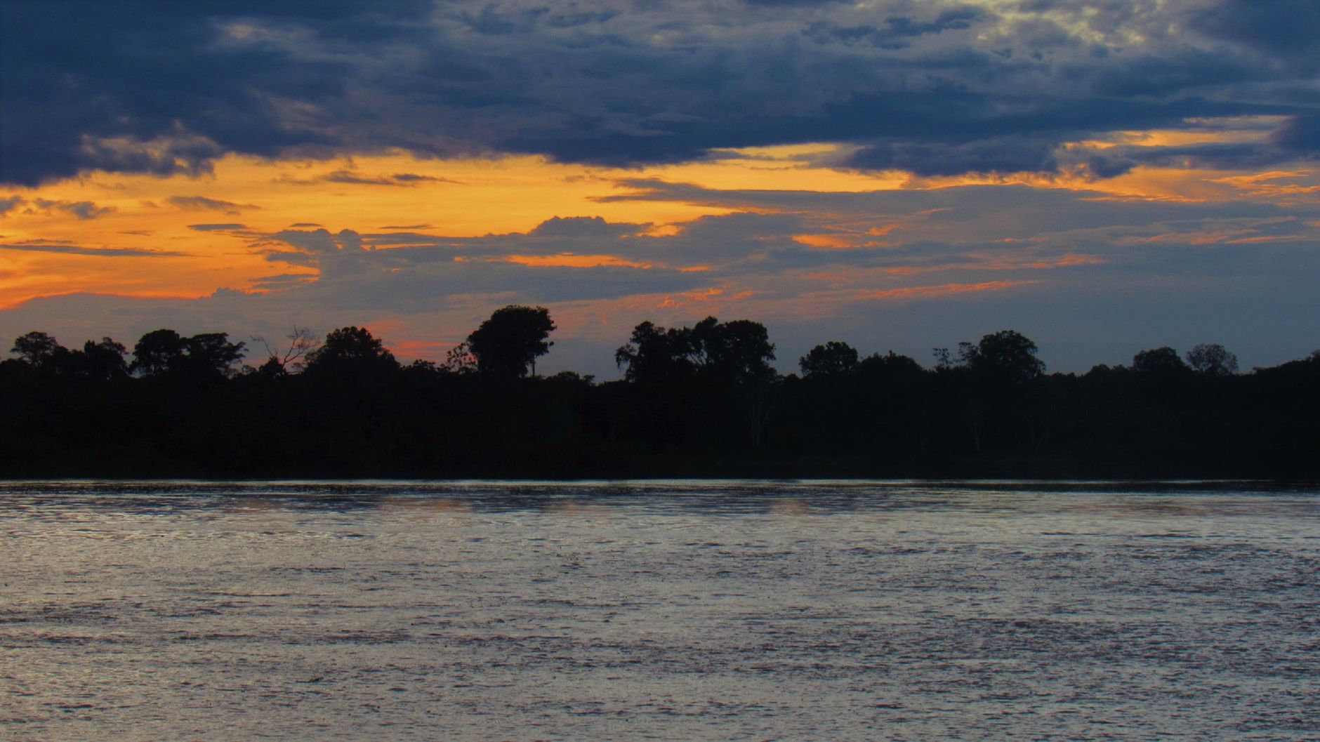 Floresta Amazônica e rio sinuoso ao pôr do sol