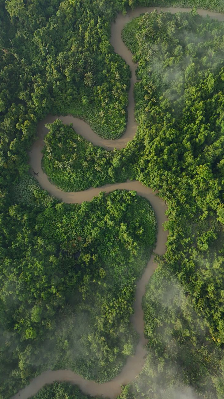 Paisagem exuberante e natureza intocada no Brasil